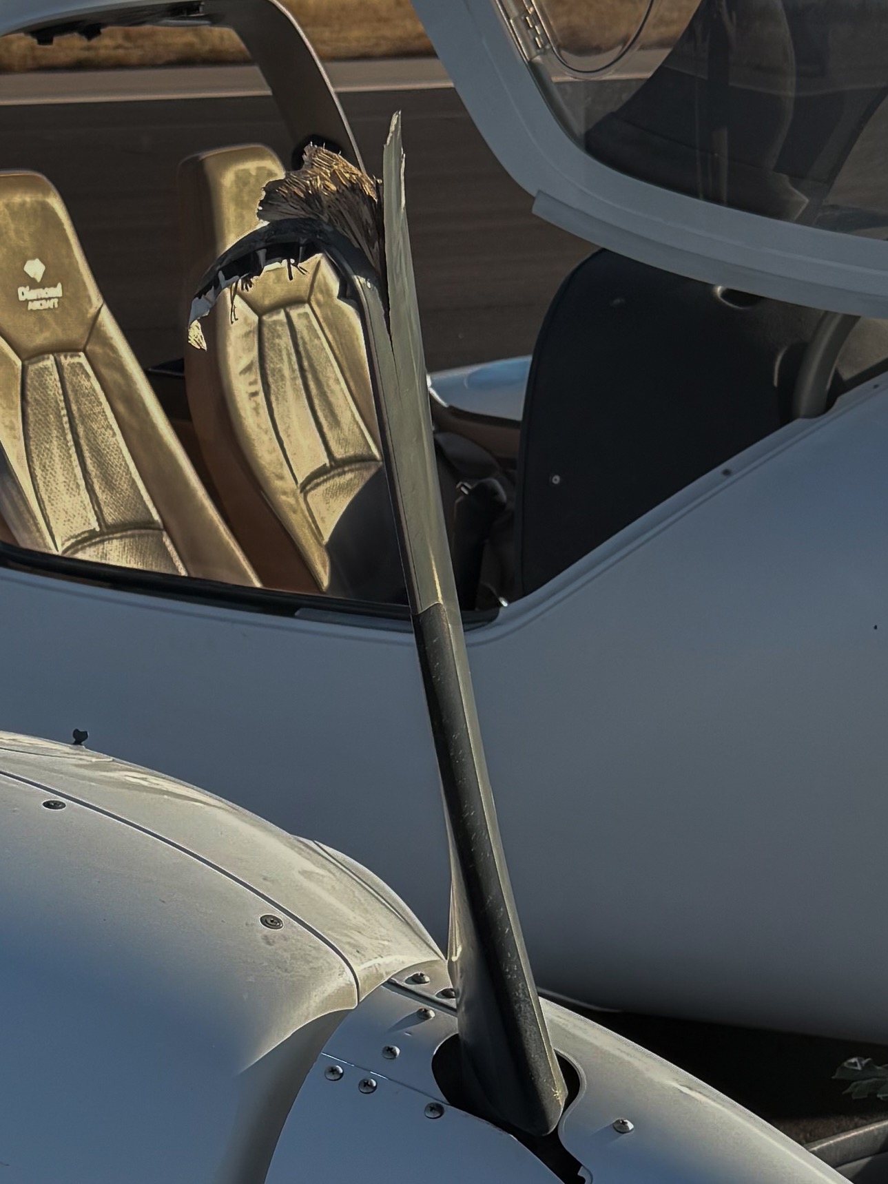 Bent prop blade and Diamond cabin — the morning after
