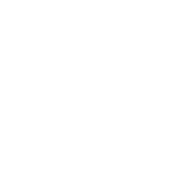 Foxtrot Hotel Aerobatics